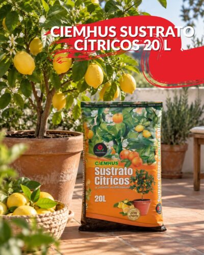 Ciemhus sustrato cítricos