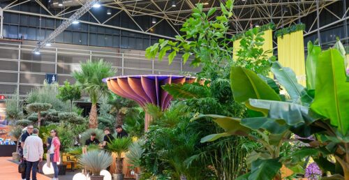 Infertosa nuevamente en Iberflora Valencia 2026